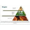 MAGICO